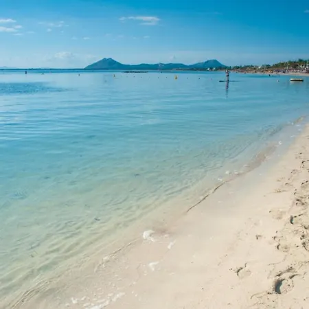 Boi Den Cifre Pollensa