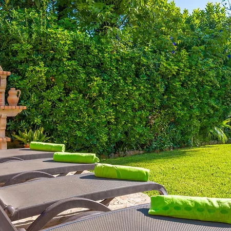 Boi Den Cifre * Pollença