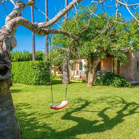 Boi Den Cifre Pollença