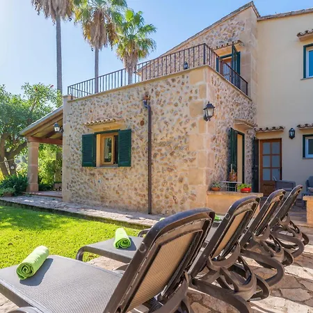 Boi Den Cifre * Pollença