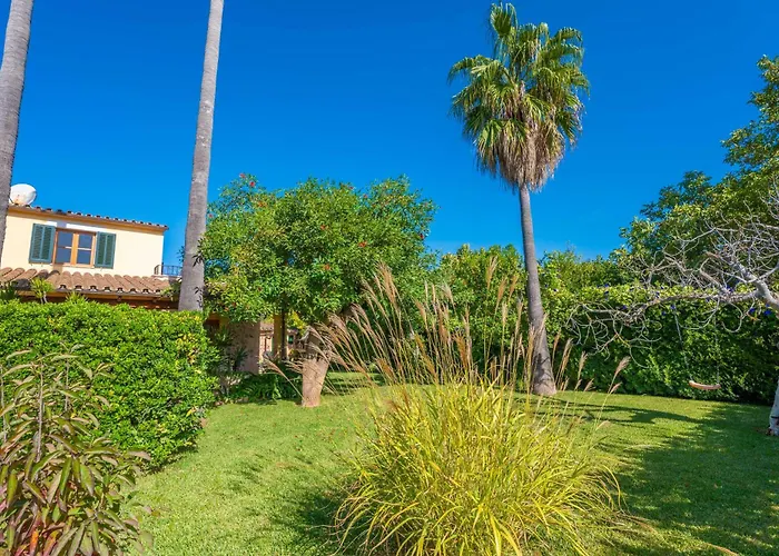 Boi Den Cifre * Pollenca